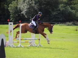 IMG_1232_web